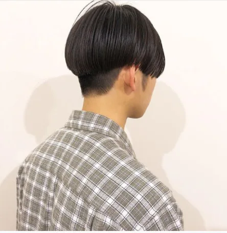 Boy Silky Hairstyle for Medium Length