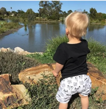 Toddler Boy Haircut