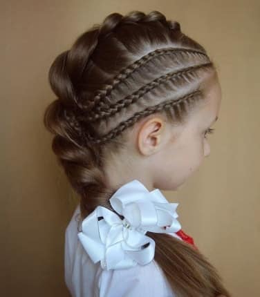 Fine Braids On The Sides With Thick Braided Ponytail
