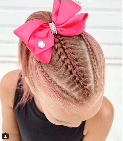 Centre Braided Hairstyle With Ponytail