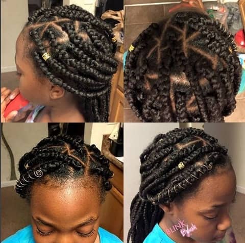 Box Braided Design With Crown And Ponytail