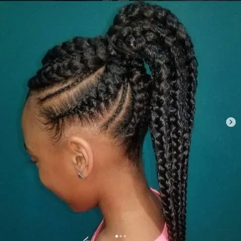 Box Braids With Long Ponytail