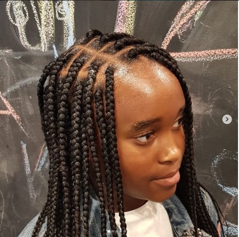 31 Box Braids For Kids 2020 Perfect Styles With Detailed Guide