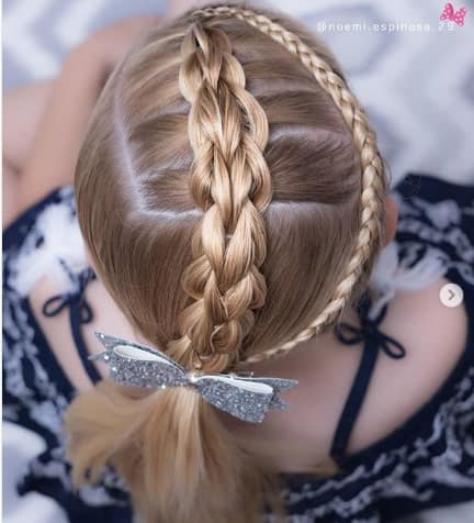 Braided Hairstyle With Long Ponytail