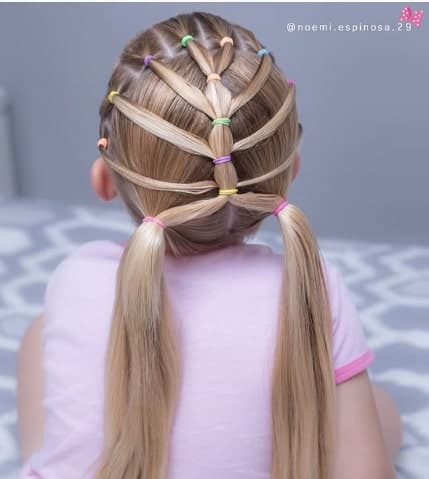 Braided Hairstyle With Pigtails