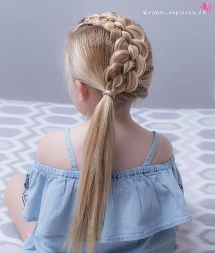 Thick Centre Braid With A Cool Ponytail