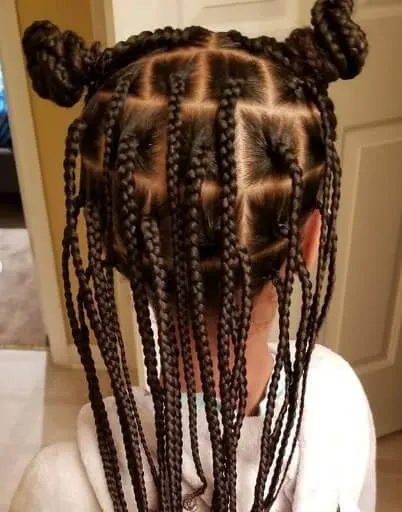 Center Parted Braided Hairstyle With Pigtails