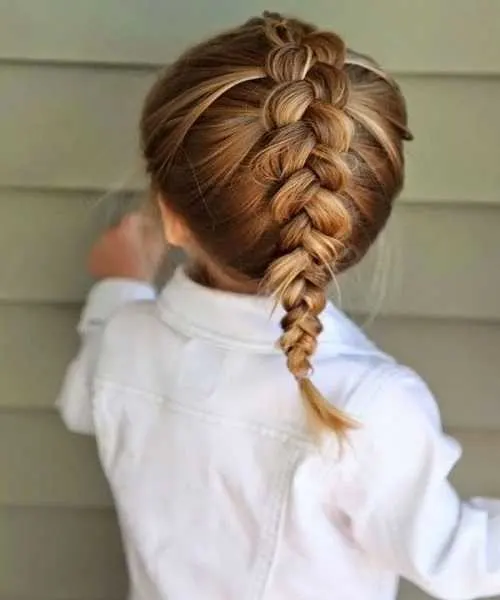 Center Braid With Combed Back Hair