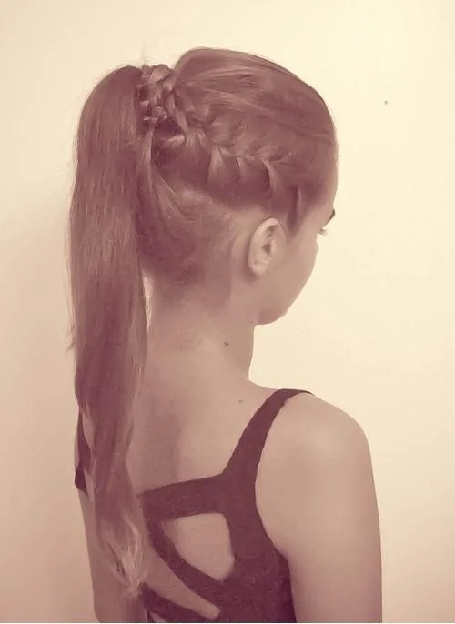 High Tail With Side Braid And Combed Back Top