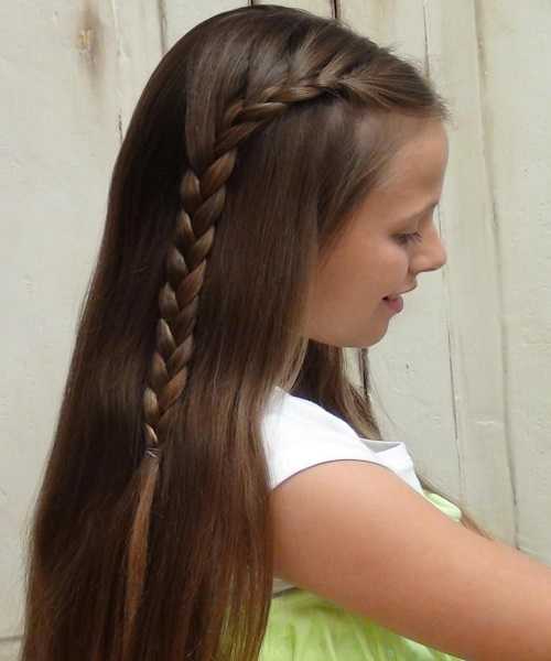 Long Open Hairstyle With A Cool Side Braid