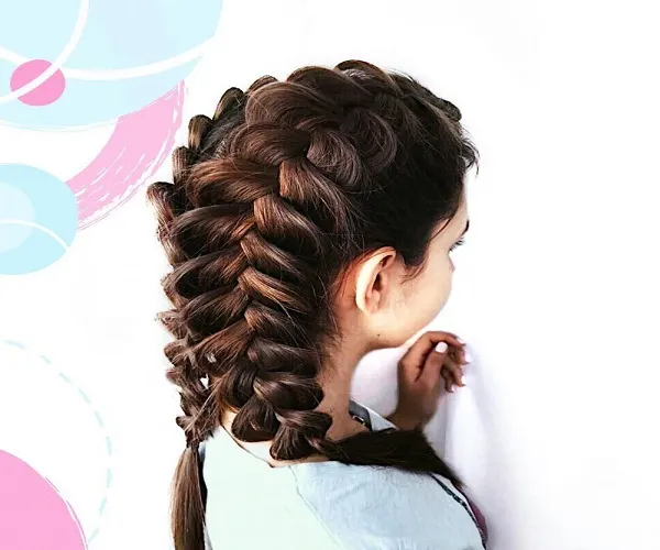 Double French Braided Hairstyle