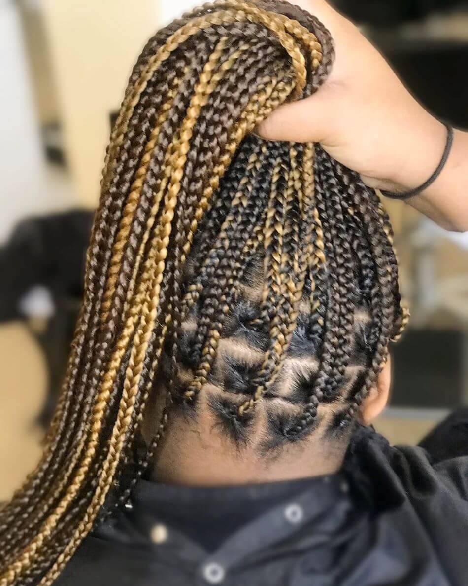 Long And Voluminous Thin Braids