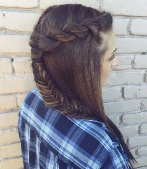 Plait Half Up Hairstyle With Braided Tail