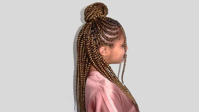 Box Braided Cornrows