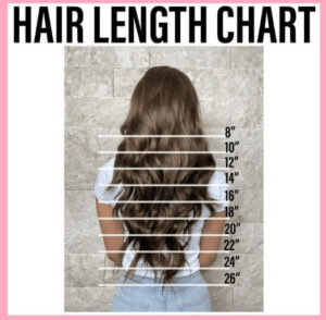 Hair Length Chart 300x294 