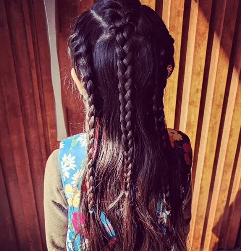 Double Parted Hairstyle With Nice Braids