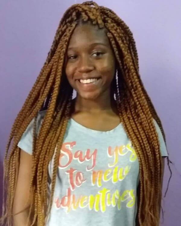 Long Brown Box Braids